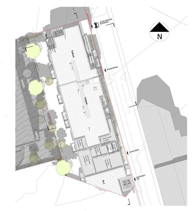 Atelier des Deux Anges - ROU_Eclat Seine plan masse.jpg