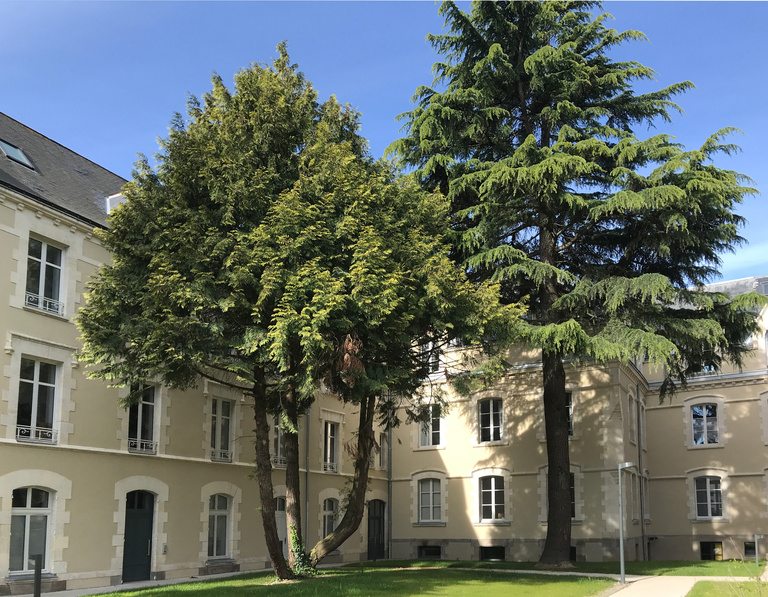 Atelier des Deux Anges - Le Clos Lévesque, Nantes